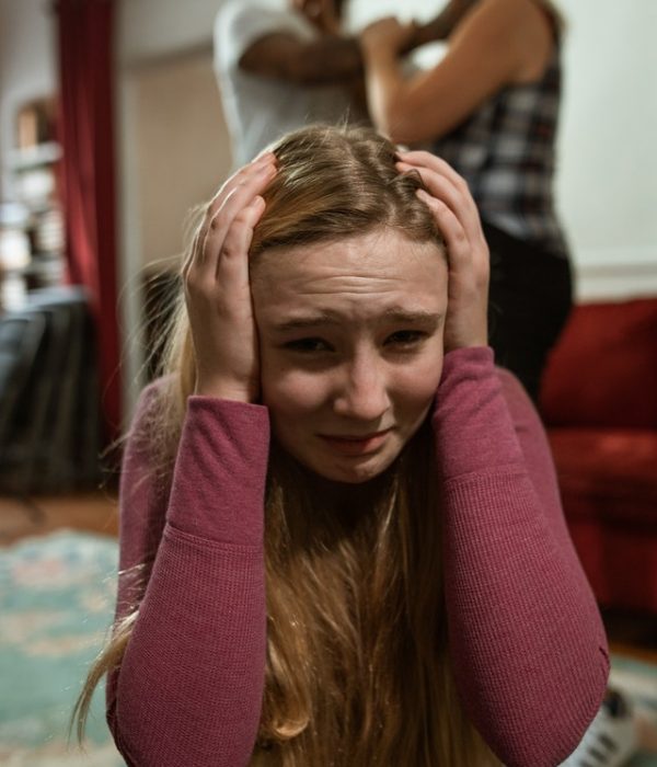 domestic violence lawyers chandigarh